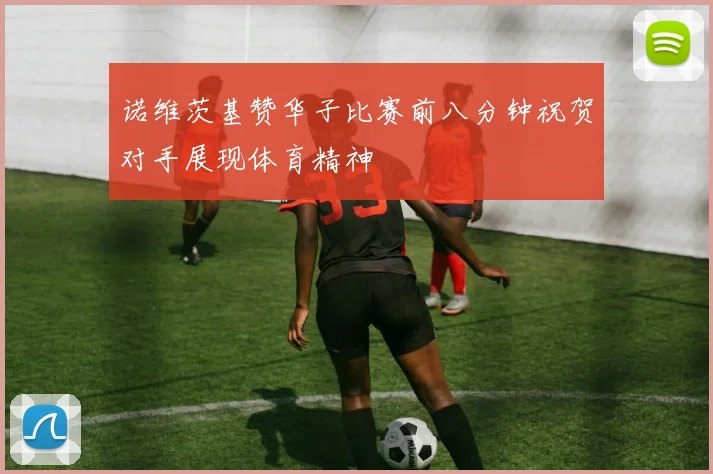 诺维茨基赞华子比赛前八分钟祝贺对手展现体育精神