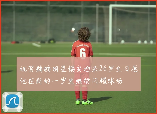 祝贺鹈鹕明星锡安迎来26岁生日愿他在新的一岁里继续闪耀球场